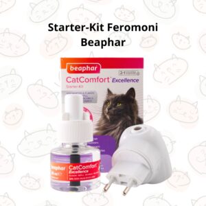 Kit Erba per Gatti BIO idroponica